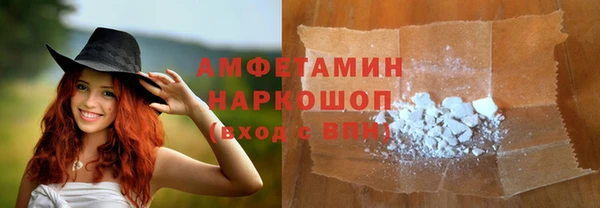 прущие грибы Бронницы