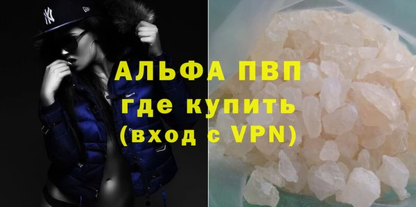 прущие грибы Бронницы