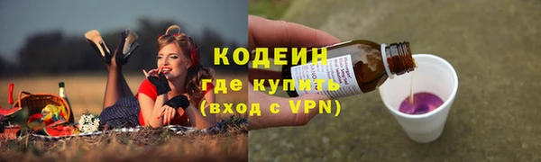 прущие грибы Бронницы