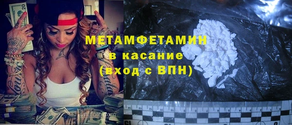 прущие грибы Бронницы