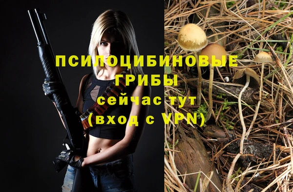 прущие грибы Бронницы