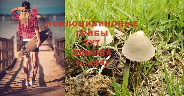 МДМА Бородино