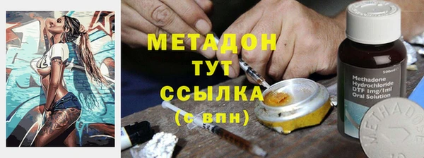 прущие грибы Бронницы