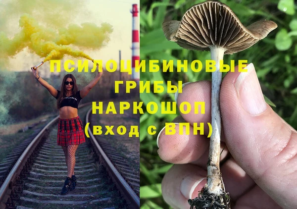 МДМА Бородино